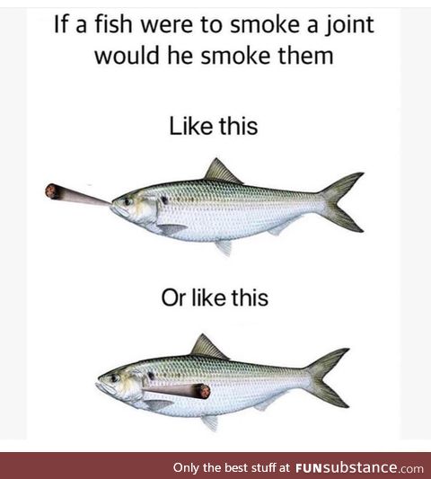 If fish smoke