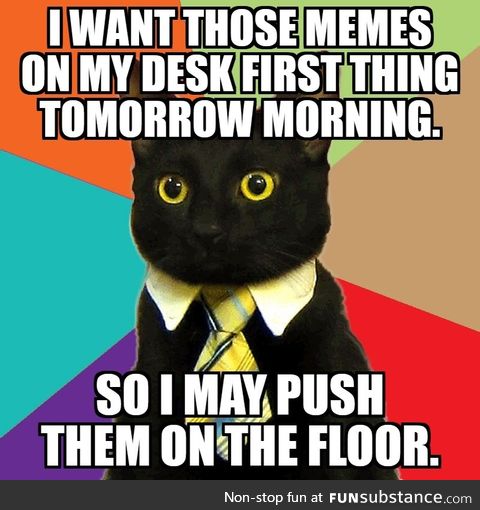 Is business cat back in business?!