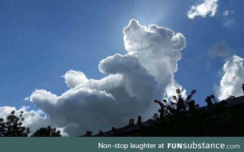Bear cloud