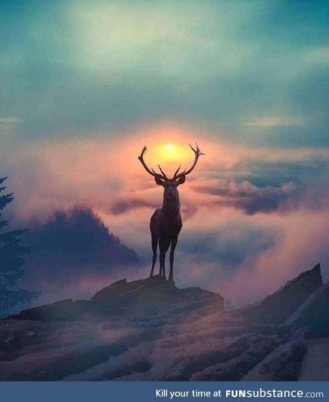 Scottish stag holding the sun with its antlers