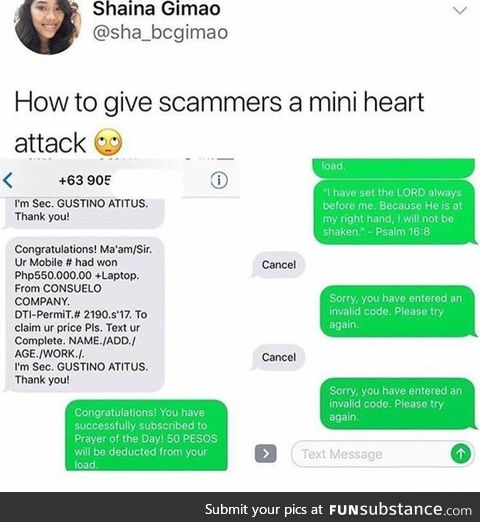 Scam the scammers