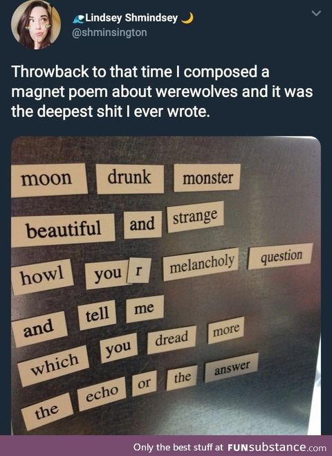 Fridge poem