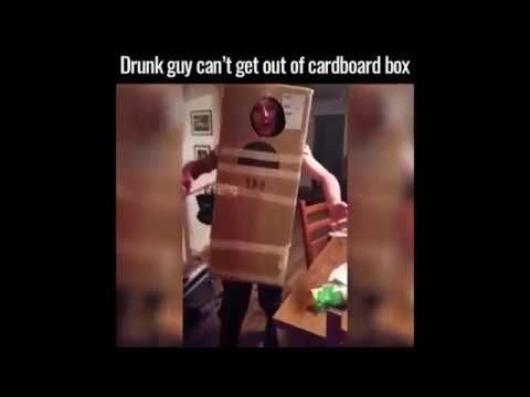 A drunk guy stuck in a cardboard box