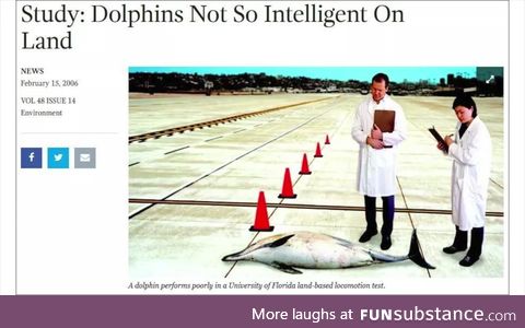 Poor dolphin