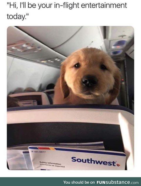 Best...Flight...Ever