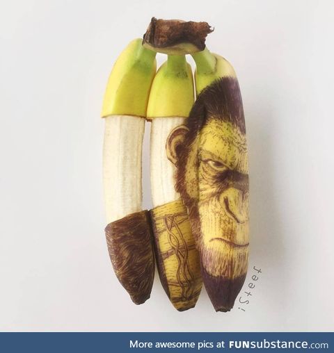 Banana Art by Stephan Brusche