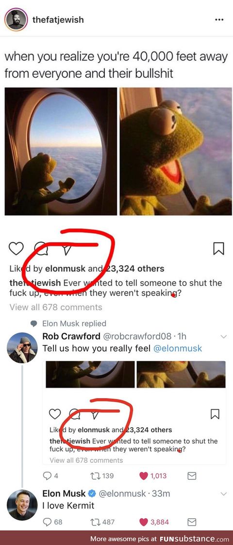 Elon Musk and Kermit