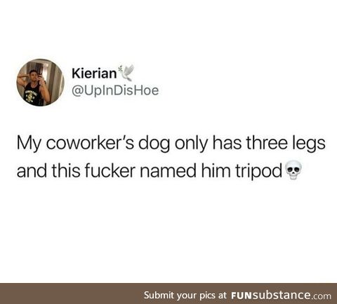 Dog with only three legs