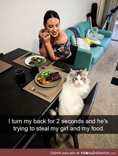 Cat burglar has a new meaning