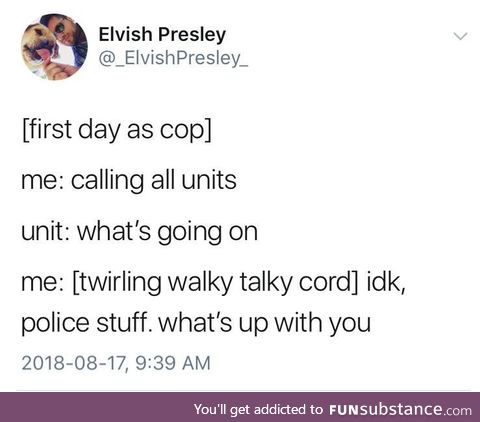 Fun cop
