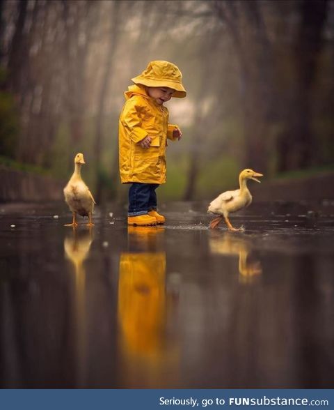 Just a couple of ducks out in the rain
