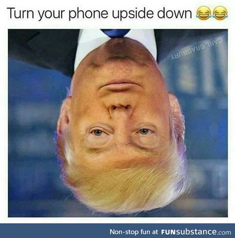 Brain is useless reading upside down faces