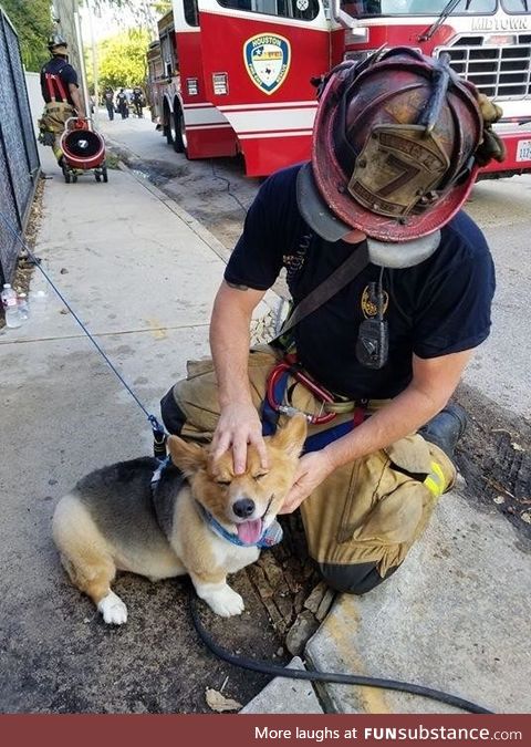 Houston firefighter greets pupper saved from fire