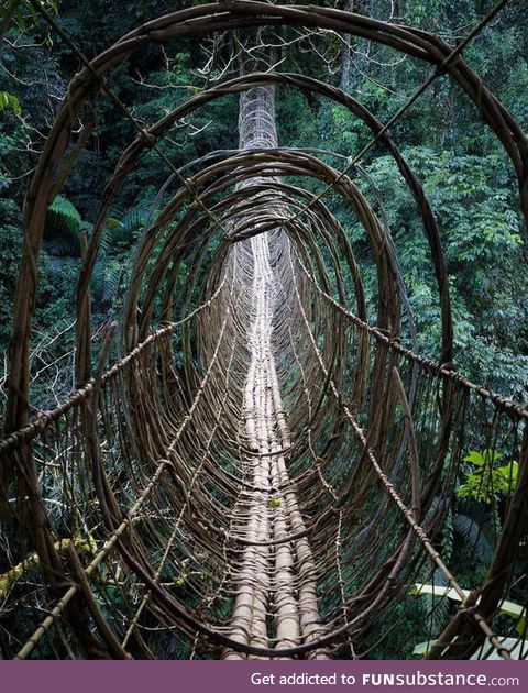 Hanging bridge in Boleng, Arunachal Pradesh, India