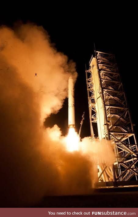 A frog who thought a rocket launch pad could be a home
