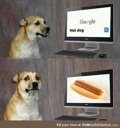 Sad doggo