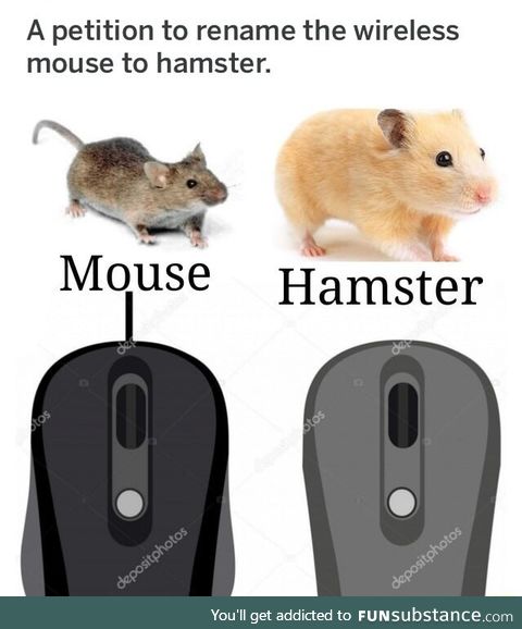 Wireless shall now be called a hamster