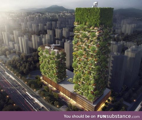 Asia's First Vertical Forest Is In China Which Will Produce 60 Kg Oxygen daily