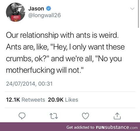 **** ants