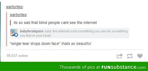 Blind people can't see the Internet