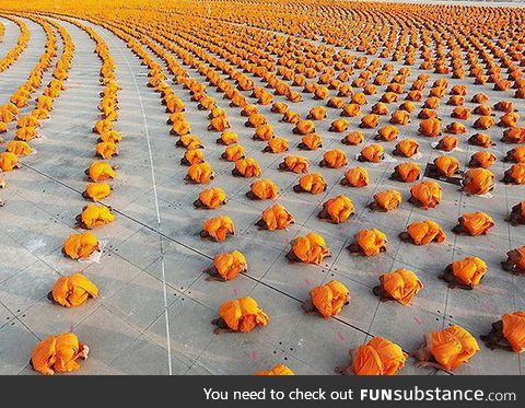 Monks praying makes a perfect picture