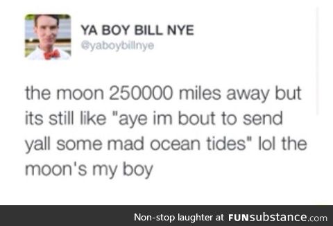 Moon my boy