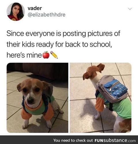 Kid going to school