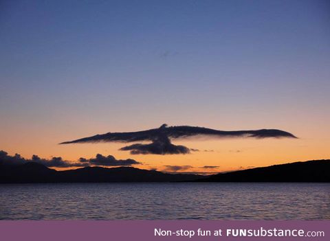 Amazing cloud that look like bird
