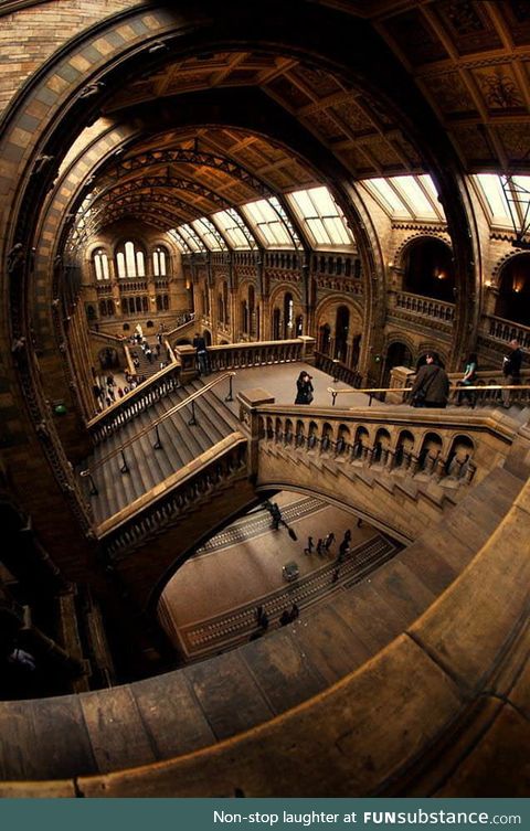 The natural history museum, london