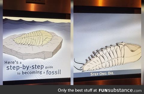 How to be a fossil