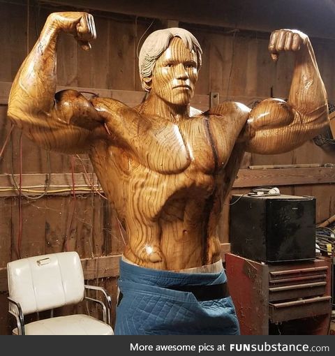 Sculptor creates a life-size statue of Arnold Schwarzenegger out of tree trunk