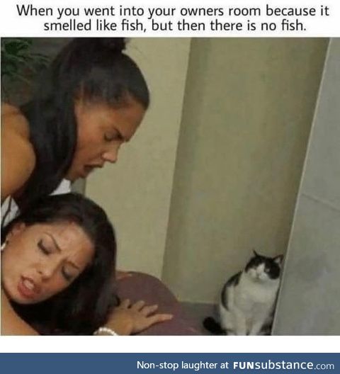 Something smells like fish?