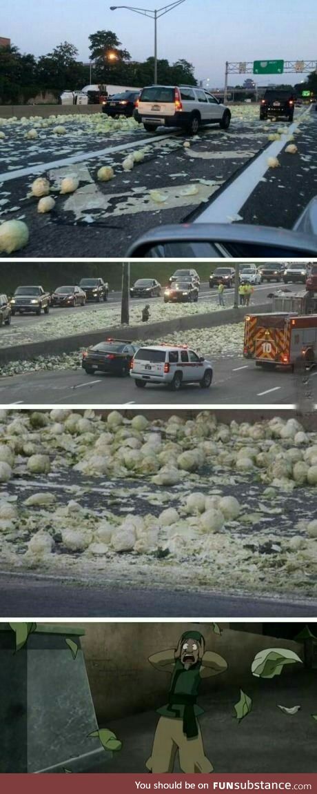 MY CABBAGES!!!!