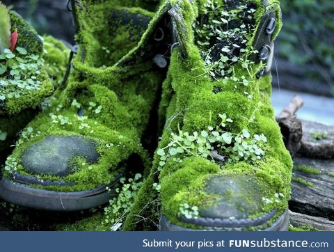 Forgotten boots in Australia