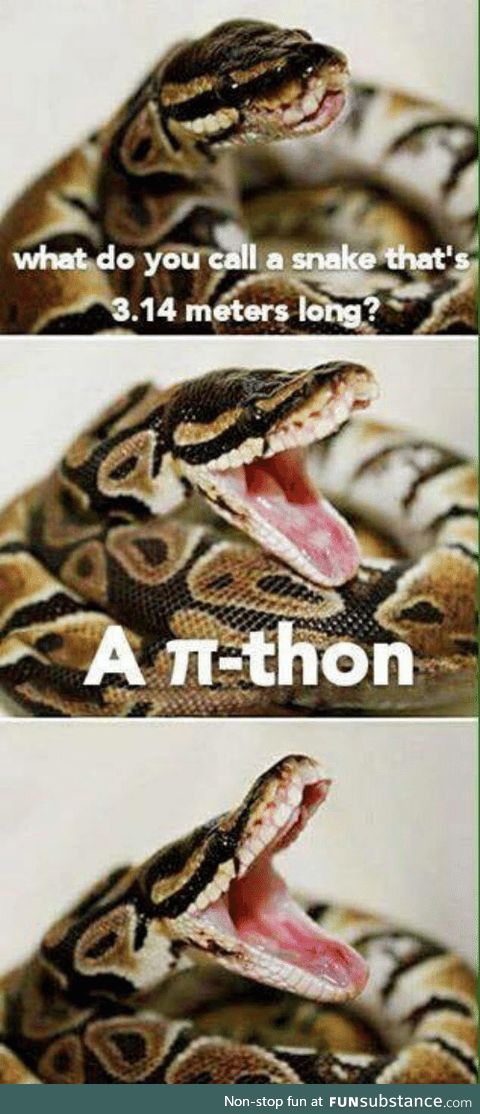 A Pi-thon