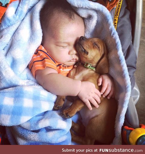 A baby with his lifelong protector