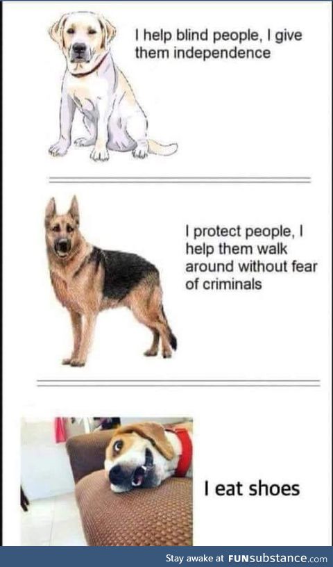 My dog is one of these