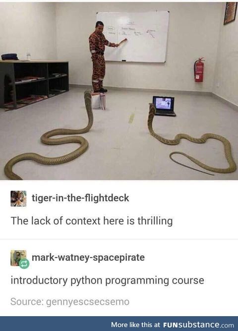 Cobras learning Python (lack of context is the best context)