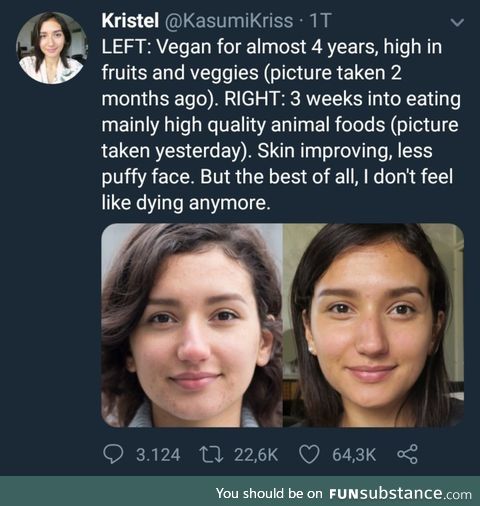 The non-vegan lifestyle