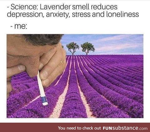 Smoke lavender