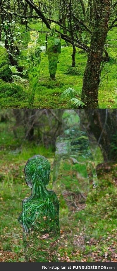 Imagine walking through a forest and catching a glimpse of these invisible figures!