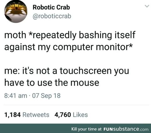 Moth are dumb