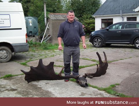 10,000 year old Skull and Antlers of an extinct Elk found by fishermen in Ireland