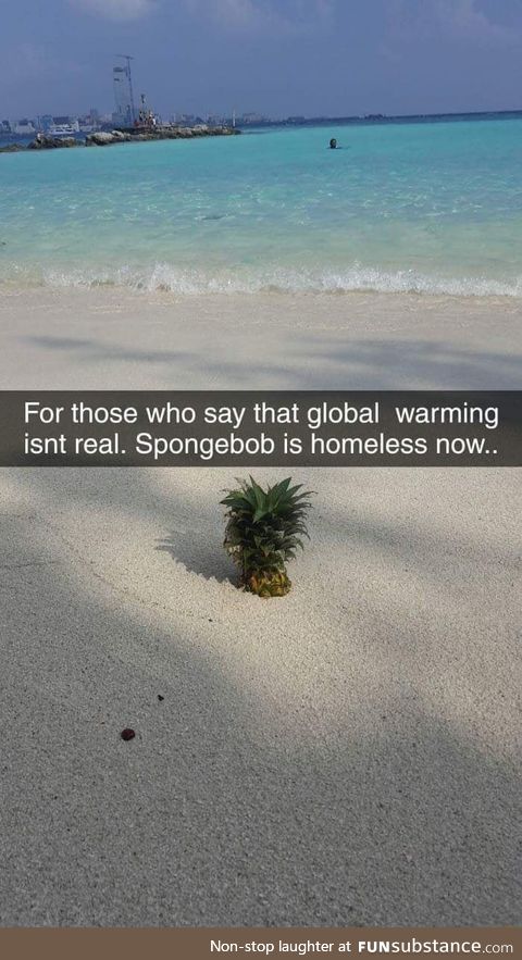 Spongebob is homeless
