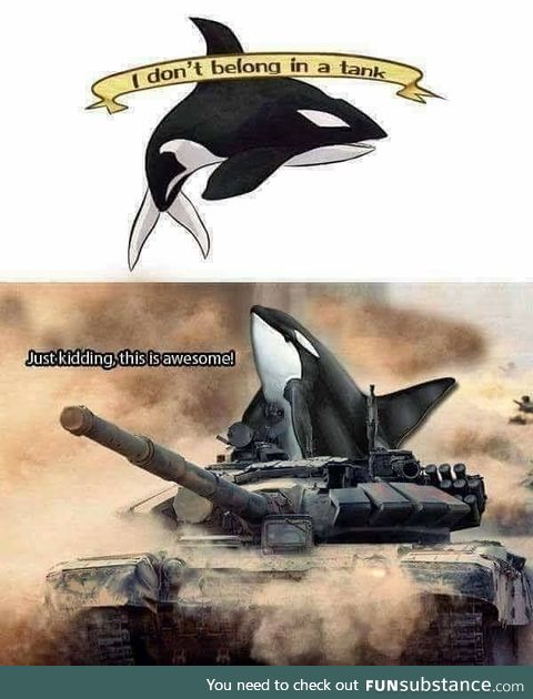 Whale of a time