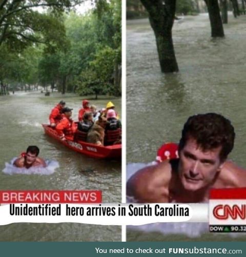 Hurricane Hassler Hasselhoff is on the case