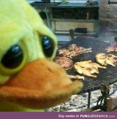 Sad duck