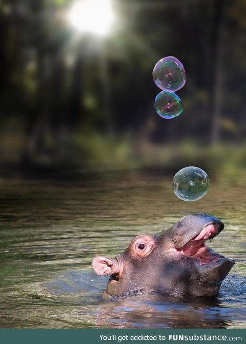 "wheeeee.. bubbles :D!!!"