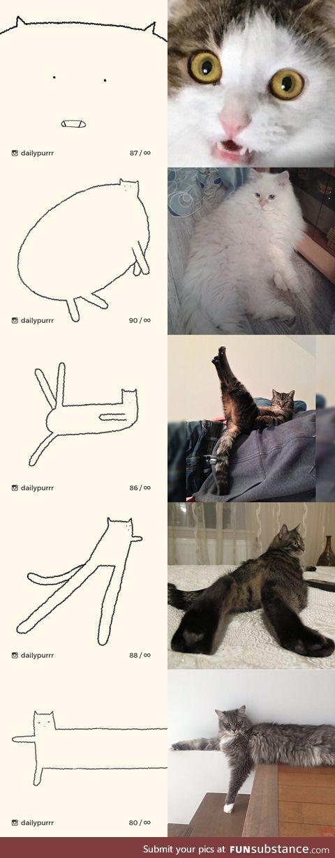 Drawings of cats
