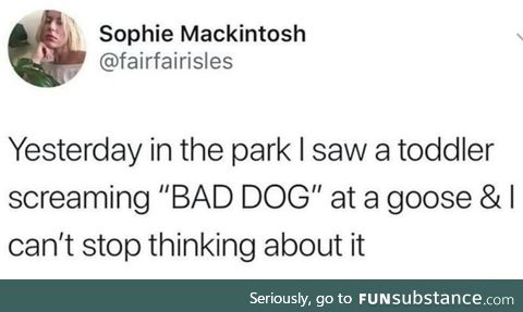 Bad dog!